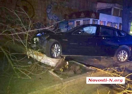 Свежие новости: Пьяный водитель, который снес дерево на BMW, оказался зятем члена исполкома Николаевского горсовета