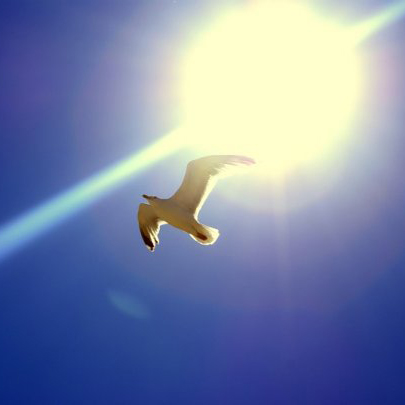 Свежие новости: В Украину возвращается солнечная погода