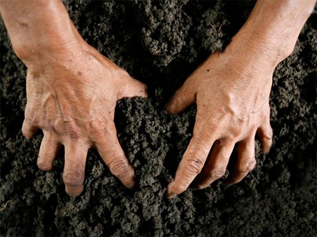 Свежие новости: Самовільне зайняття земельних ділянок. Що робити?