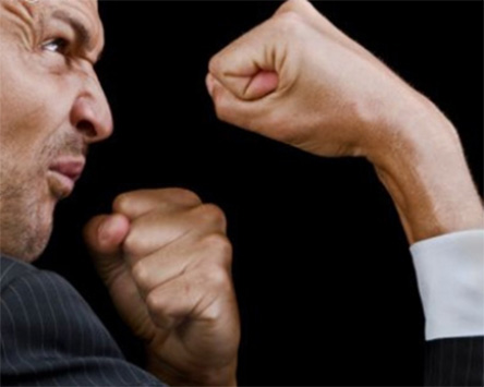 Свежие новости: 