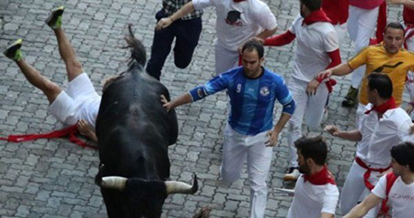 Свежие новости: В Испании во время забегов быков пострадали 28 человек