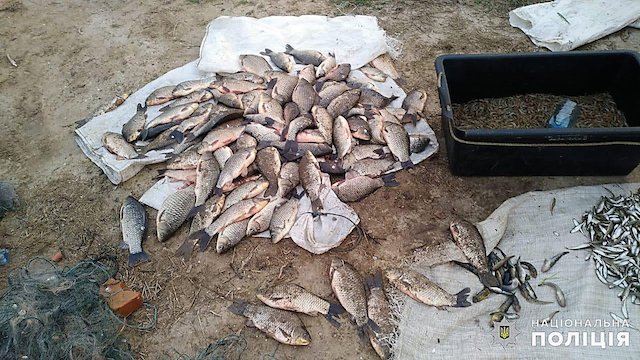 Свежие новости: На Николаевщине водная полиция уличила браконьеров на незаконной ловле рыбы и креветки