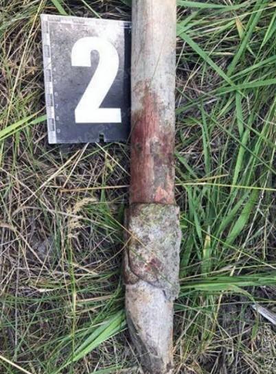 Свежие новости: ВИДЕО: В Одессе жестоко убили и изнасиловали 17-летнюю девушку: в содеянном подозревается ее одноклассник