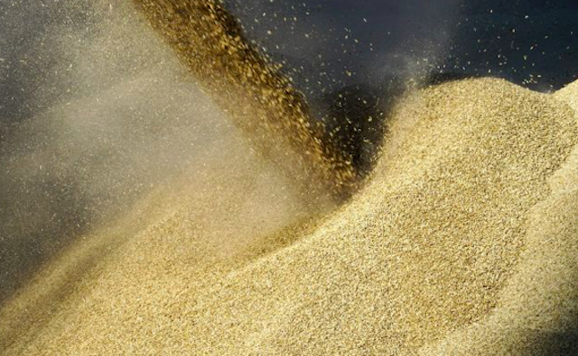 Свежие новости: Єгипет дав обіцянку Зеленському і хоче більше українського зерна