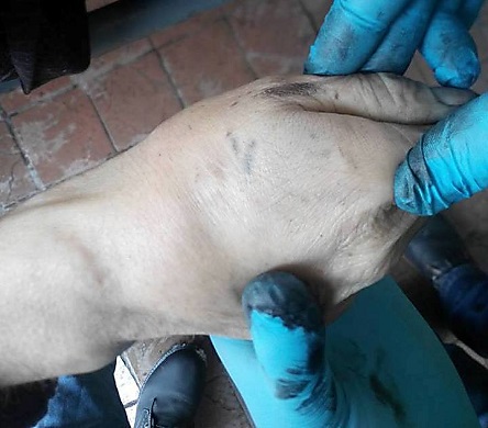 Свежие новости: Полиция Первомайска устанавливает личность умершего мужчины, найденного в заброшенном доме