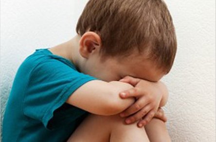 Свежие новости: 