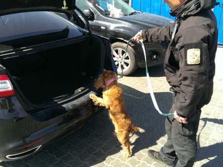 Фото новости: В Одесской области нашли автомобиль с патронами Свежие новости: В Одесской области нашли автомобиль с патронами