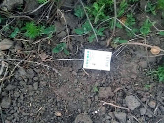 Свежие новости: В Харьковской области мужчина бросил во двор, где играли дети, бутылку с зажигательной смесью, пострадала 13-летняя девочка