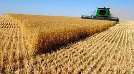 Свежие новости: Прогнозы осенней посевной в Украине