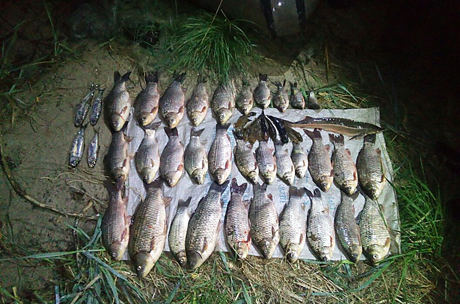 Свежие новости: В Очакове браконьера суд обязал возместить почти 50 тысяч гривен ущерба