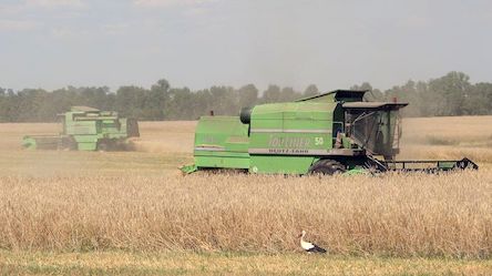 Свежие новости: Россияне пытались 