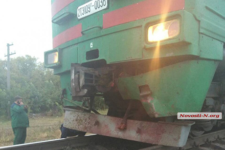 Свежие новости: На Николаевщине скоростной поезд «Херсон-Харьков» сбил корову и остановил движение