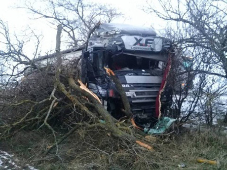 Свежие новости: На Николаевщине грузовик врезался в дерево, которое сломалось и упало на авто