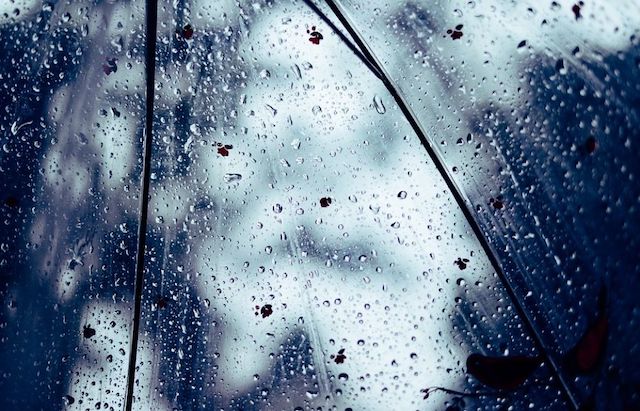 Свежие новости: До Рождества снега не будет – прогнозируют «плюс» и дожди