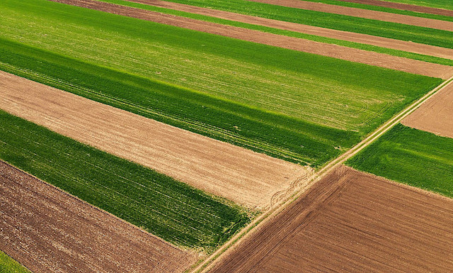Свежие новости: На Миколаївщині гімназія незаконно передала землю у «приховану» оренду, - прокуратура