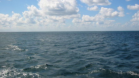 Свежие новости: На пляжах Одессы советуют временно не купаться: названа причина