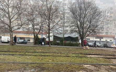 Фото новости: В Николаеве начали продавать елки, несмотря на то, что исполком не согласовал места торговли Свежие новости: В Николаеве начали продавать елки, несмотря на то, что исполком не согласовал места торговли