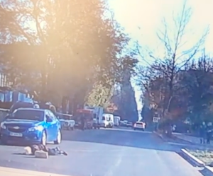 Свежие новости: В Южноукраинске мужчина на электросамокате сбил женщину