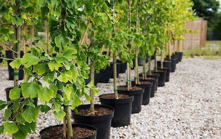 Свежие новости: 