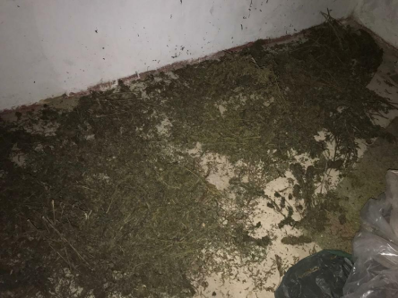 Свежие новости: ФОТО: На Николаевщине СБУ «накрыла» наркоторговцев: изъяли партию товара на ₴2 миллиона