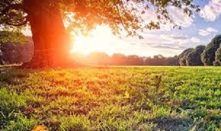 Свежие новости: В субботу в Украине будет тепло, кое-где ожидается дождь