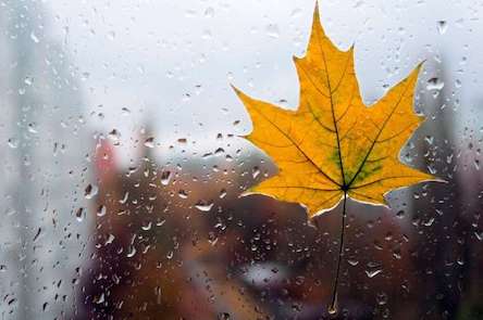 Свежие новости: В Украине ожидается похолодание и дожди