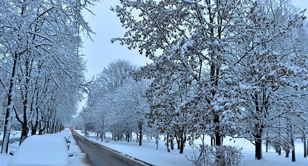 Свежие новости: Синоптик рассказала про активный циклон с Балкан, который готовится накрыть Украину