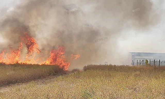 Свежие новости: Николаевские спасатели тушат пожар сухой травы в Балабановке