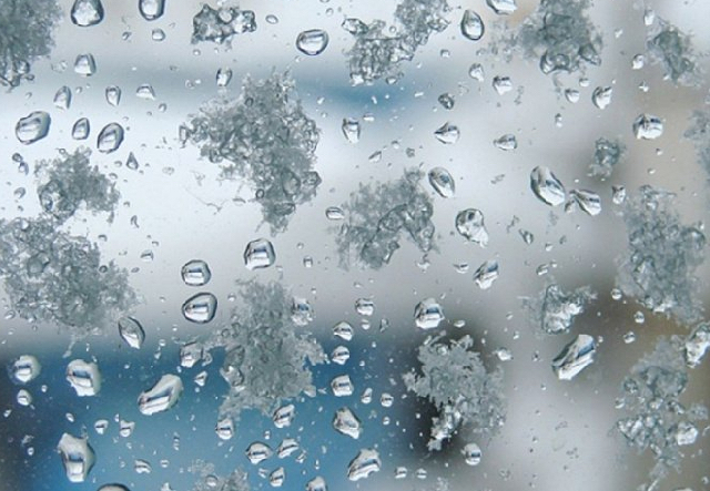 Свежие новости: В Украину идут потепление, мокрый снег и сильный ветер