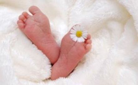 Свежие новости: За прошедшую неделю в Николаеве родилось 89 малышей