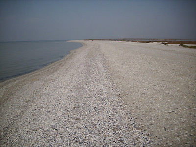 Свежие новости: Очаков не сможет расширить свои территории за счет Кинбурна, пока не пройдет экологическую экспертизу