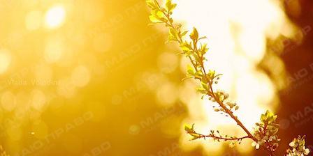 Свежие новости: Погода в Николаеве на 14 июля