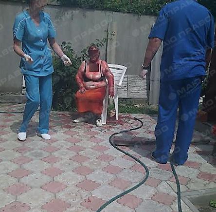 Свежие новости: В Николаеве патрульным полицейским пришлось застрелить овчарку, которая напала на свою хозяйку