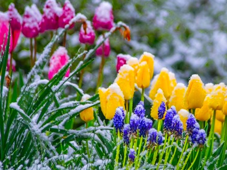 Свежие новости: В Украину  идут заморозки