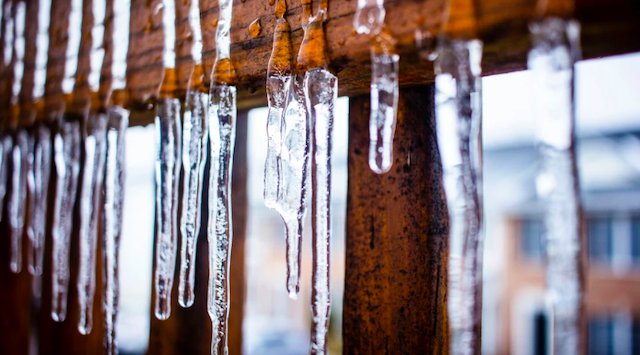 Свежие новости: У Британії заарештували брата короля