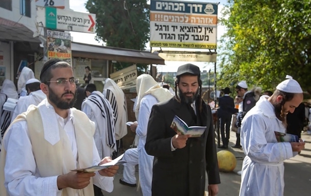 Свежие новости: В Умані готуються до приїзду хасидів