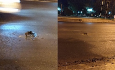 Свежие новости: Сенкевич ответил на публикации в соцсетях о ямах на асфальте