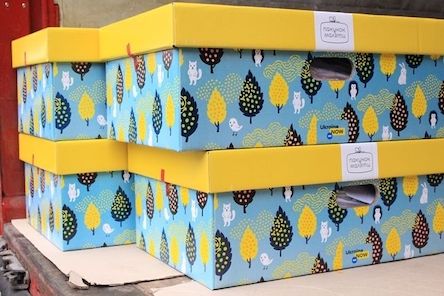 Свежие новости: С 1 сентября бэби-боксы будут выдаваться по новым правилам