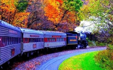 Свежие новости: Какой сегодня праздник - 10 ноября