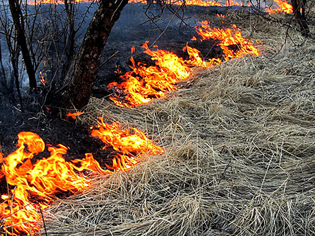 Свежие новости: На Николаевщине за субботу зарегистрировано 17 пожаров