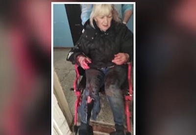 Свежие новости: В Новой Одессе бешеная собака напала на местную жительницу