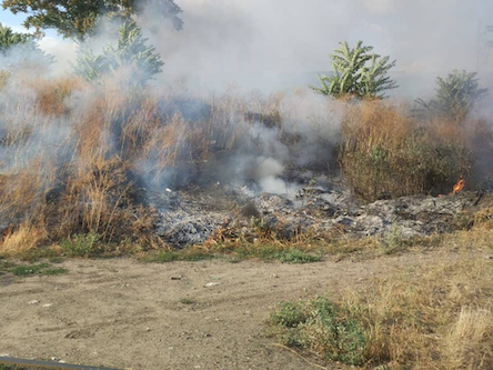 Свежие новости: На Николаевщине выгорело более 17,5 га сухостоя