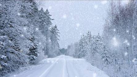 Свежие новости: В Николаеве ликвидируют последствия снегопада.