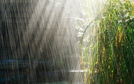 Свежие новости: В среду в Украине будет прохладно, сильные дожди придут только в две области