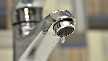 Свежие новости: 