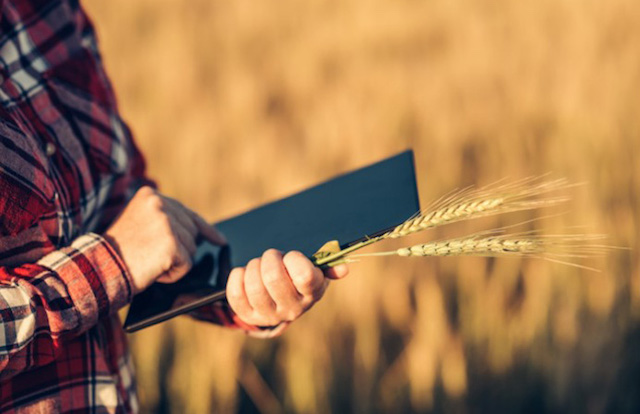 Свежие новости: Рада поддержала создание Государственного аграрного реестра