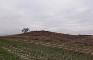 Свежие новости: На Миколаївщині курган потрапив у приватну власність під час розпаювання земель