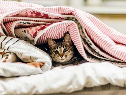 Свежие новости: Холодно, без  осадков: погода в Николаеве на завтра