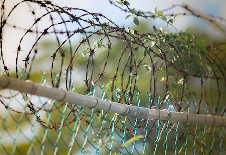 Свежие новости: Наркоторговец-правоохранитель из Одесского СИЗО пошёл под суд