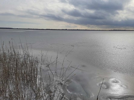 Свежие новости: Под Коблево дальнобойщик спас троих детей, которые провалились под лед